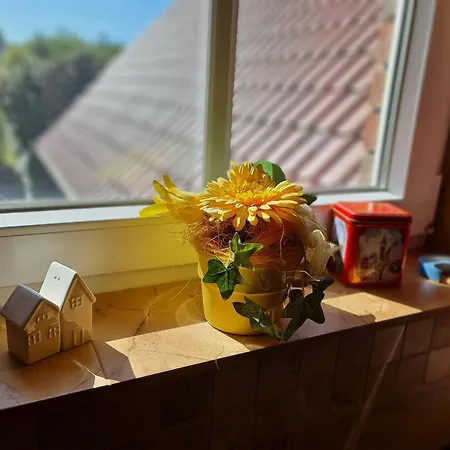 Apartmán Dornroeschen 35676